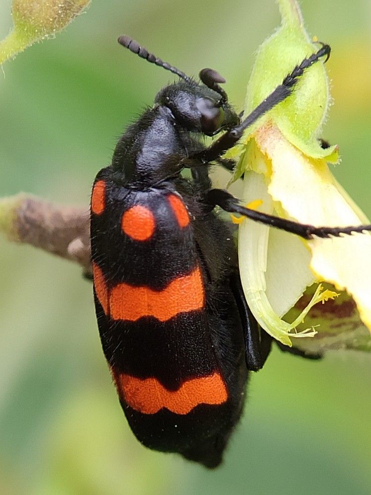Photograph by RAGESHWARI SELVARAJ