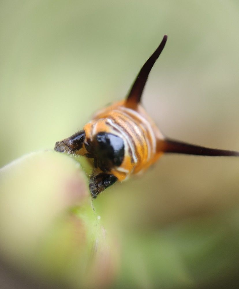 Photograph by RAGESHWARI SELVARAJ