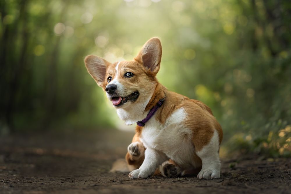 Photograph by Katarína Franková