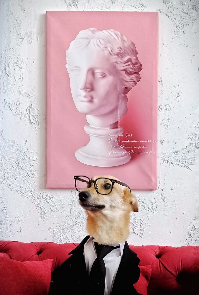 Photograph by Александра Котенкова