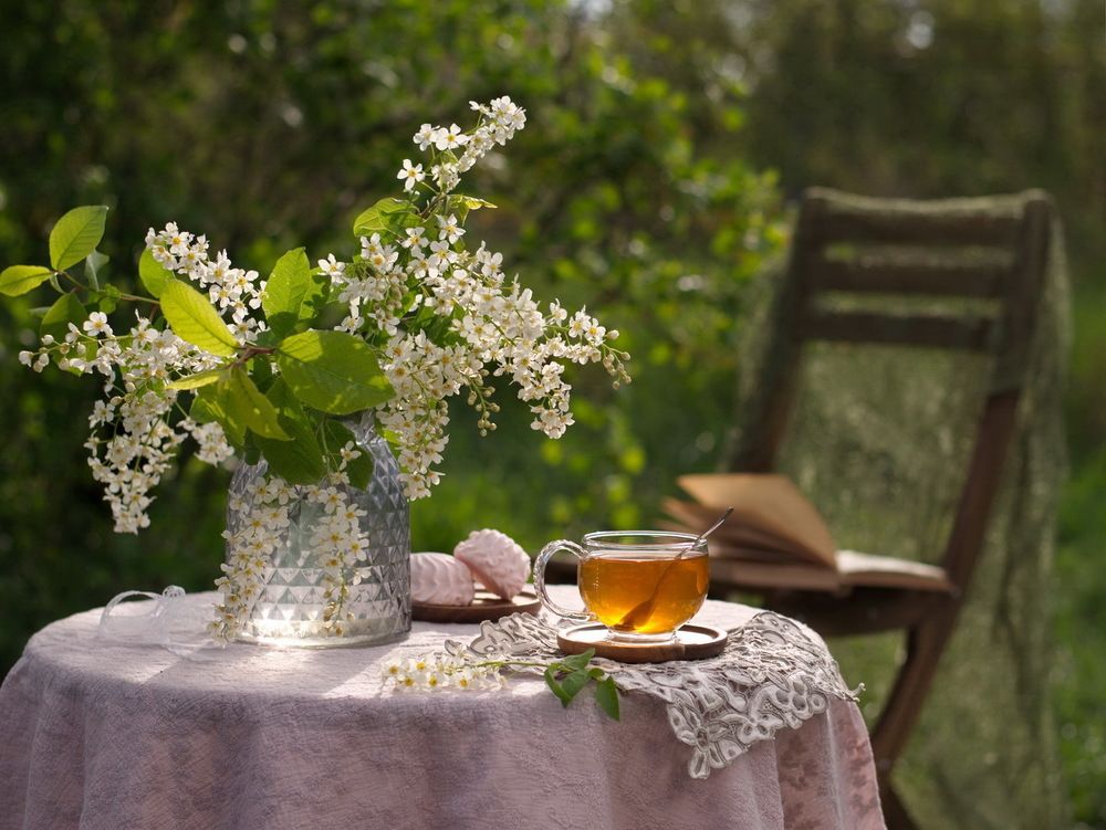 Чаепитие в саду