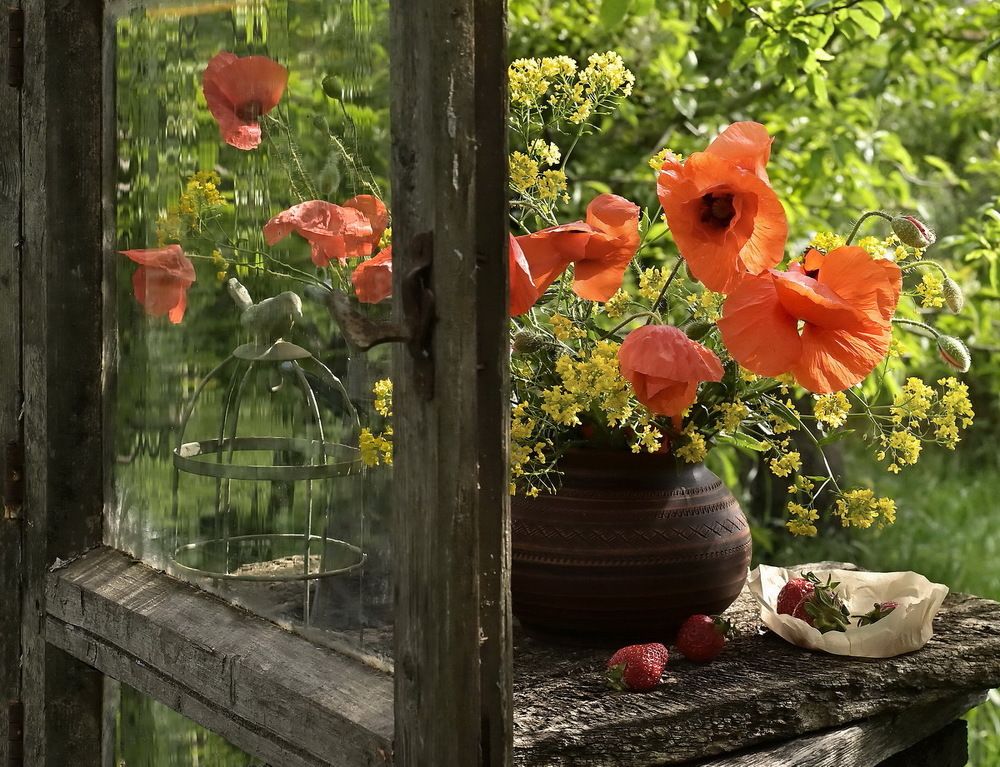 А за окном- лето...