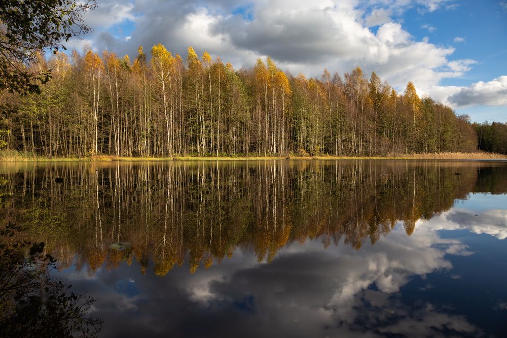 Photograph by Лидия Богданова