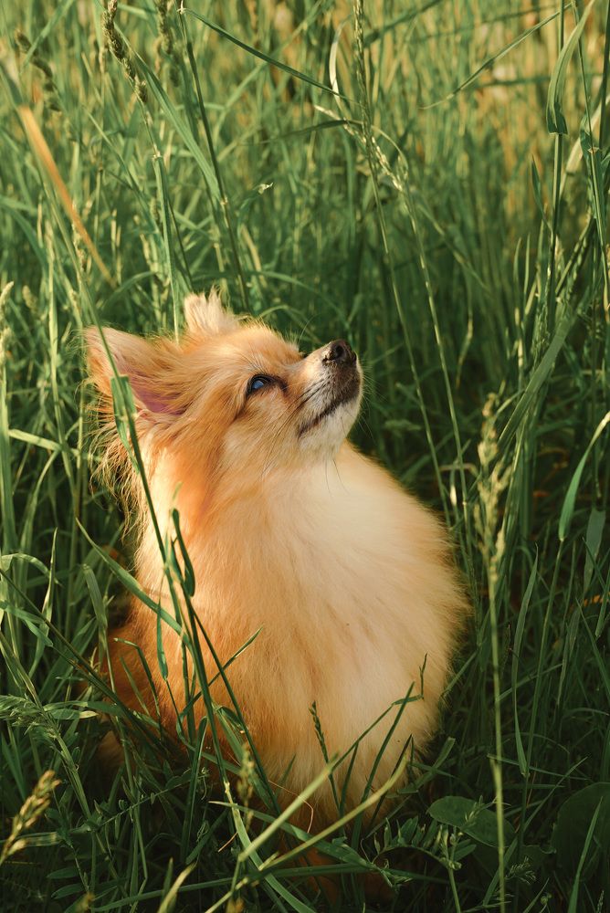Фотография автора Алиса Чурчудесная