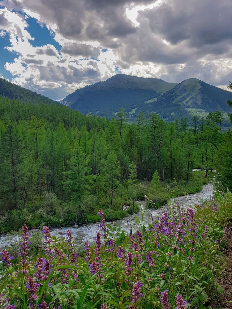 Photograph by Елена Димова