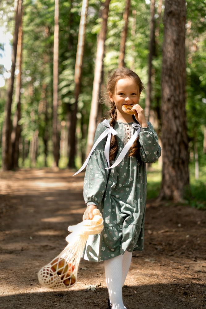 дорога из магазина