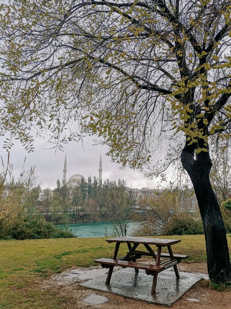 Photograph by Марина Маханцева