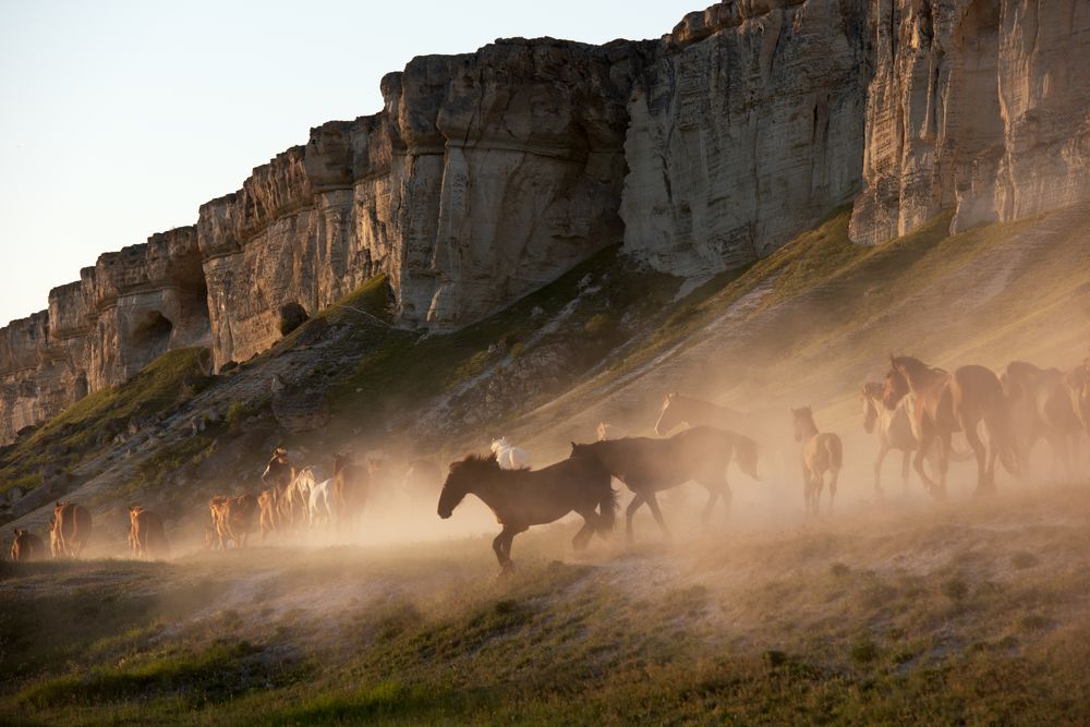 Photograph by Александра Мельник