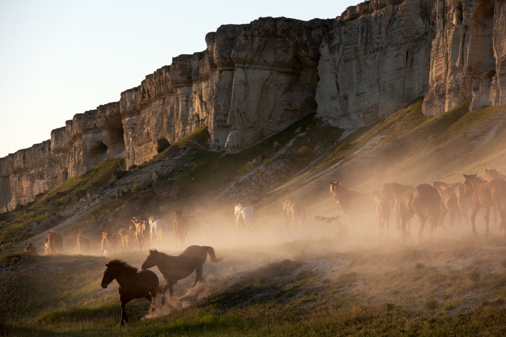Photograph by Александра Мельник