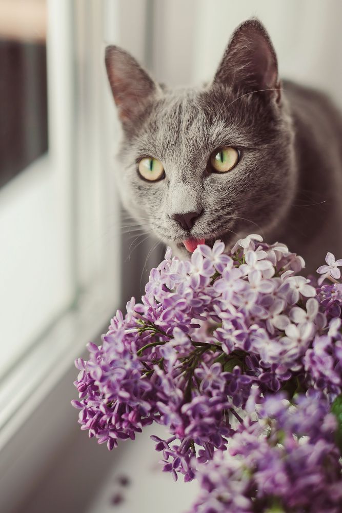 Photograph by Анна Ермоленко