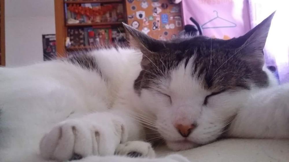 Photograph by rusenescu ramona