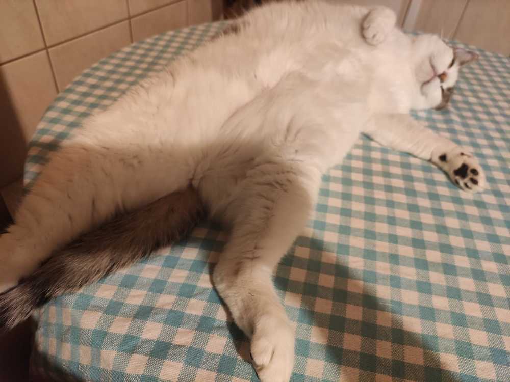 Photograph by rusenescu ramona