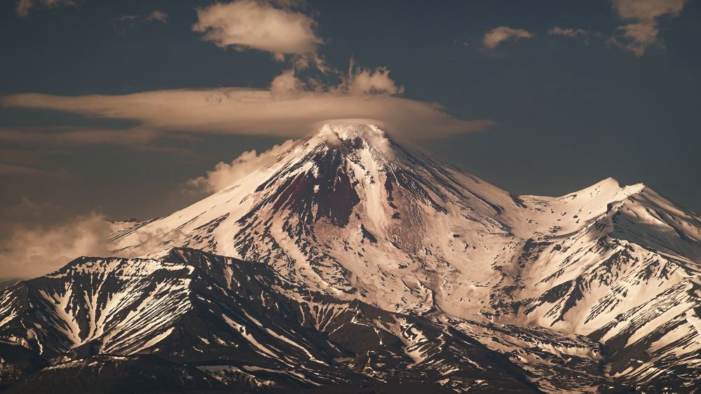 Авача-мушкетёрка