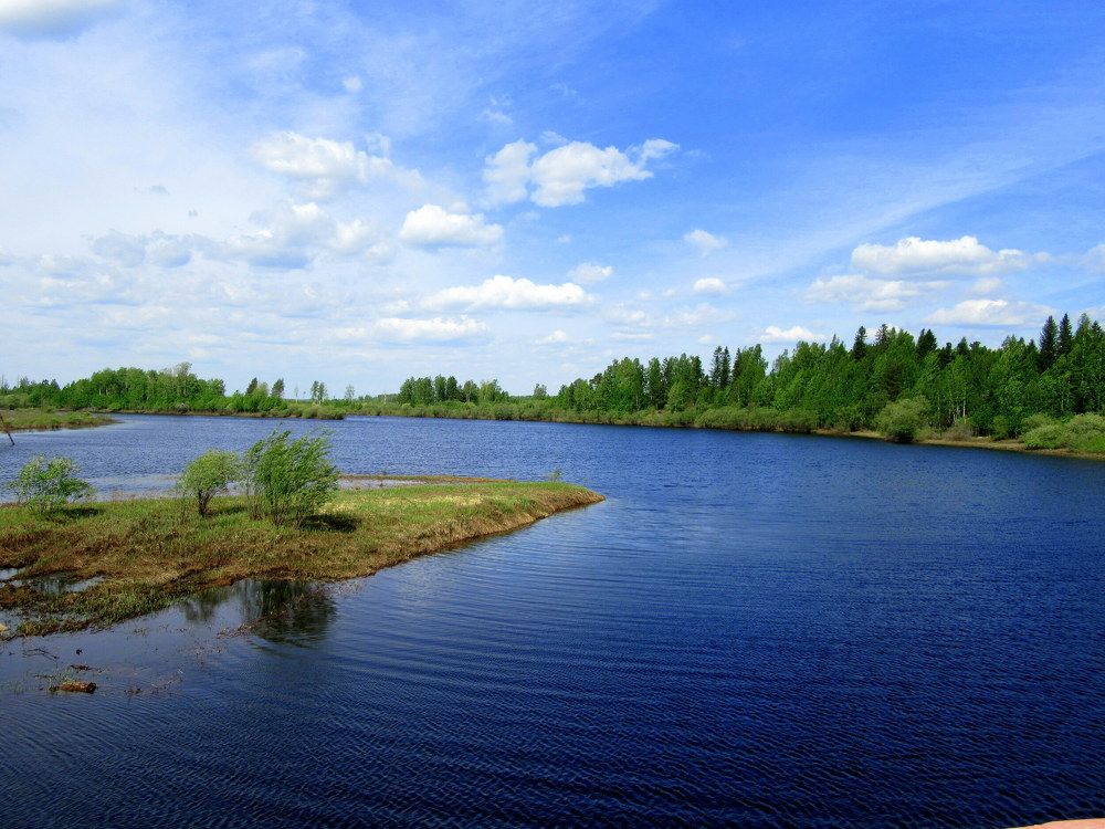 Речка Монастырка.