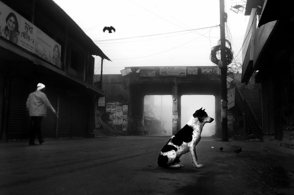 Photograph by Gazi Rahman