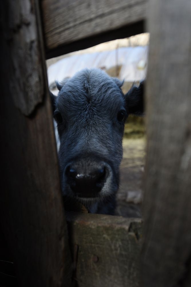 Photograph by Дана Жулдызбек