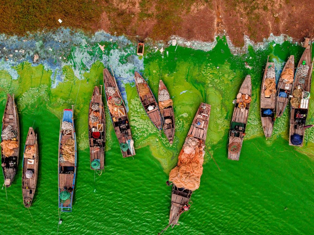 the green algae season