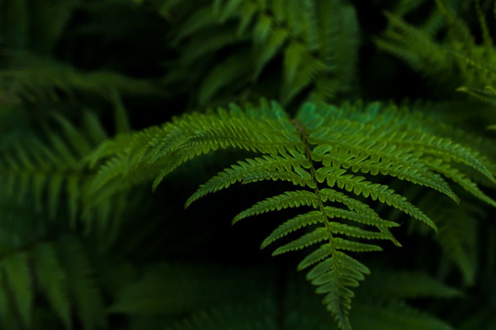 Photograph by Кристина Полякова