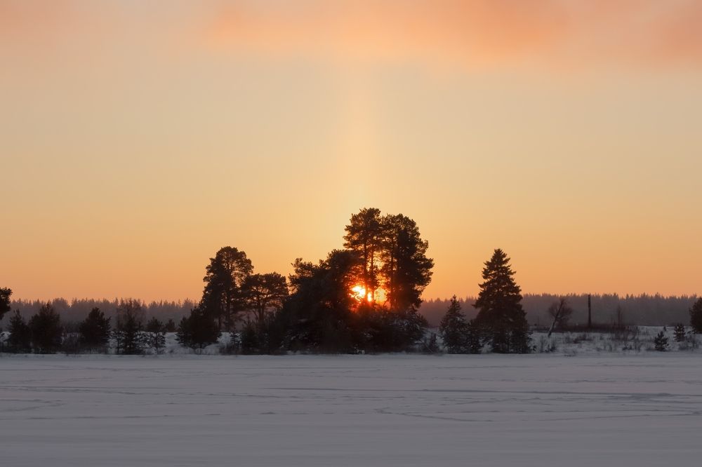 Photograph by Антонина Белозерова