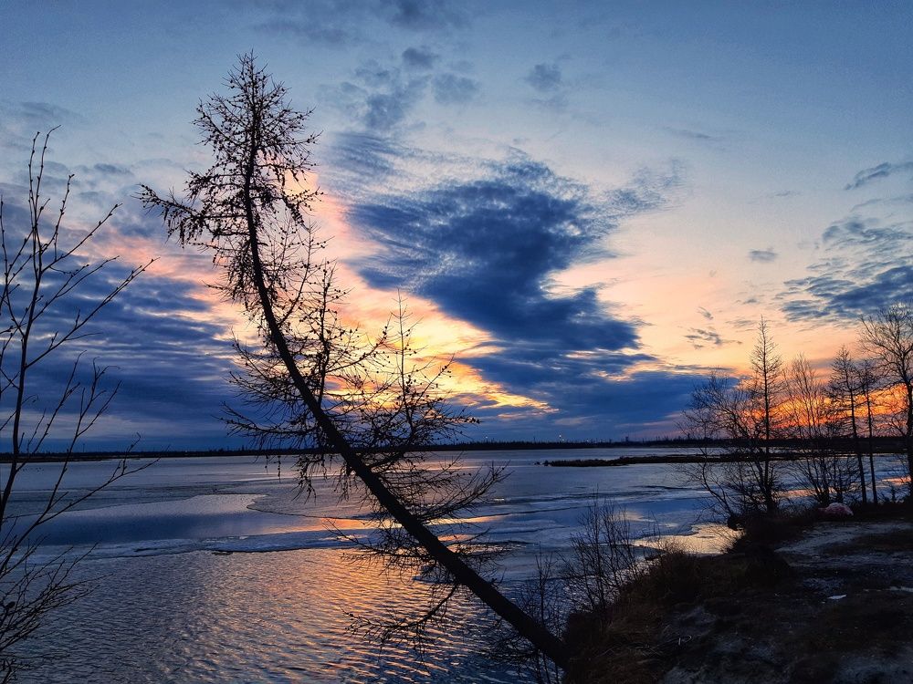 Фотография автора Савченко Наталия