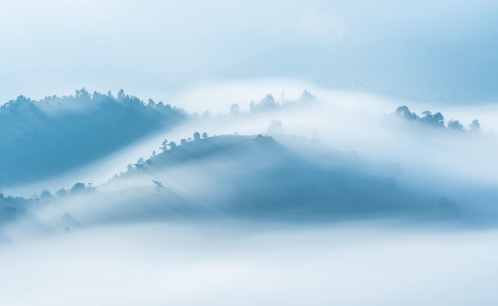 Morning in the hills