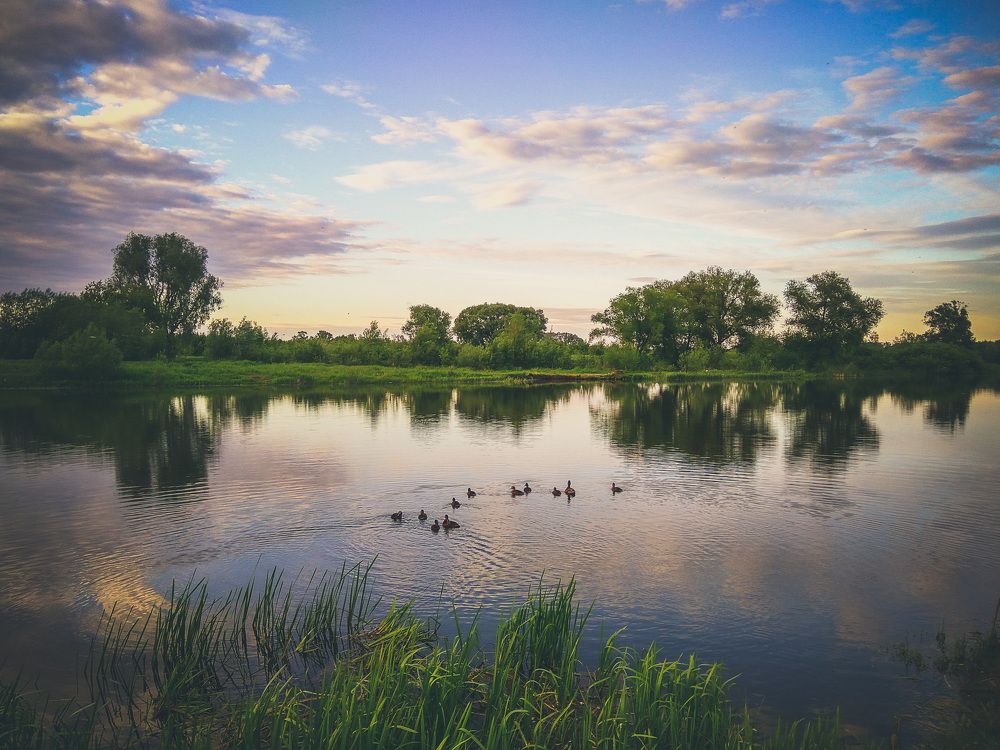 Photograph by Алексей