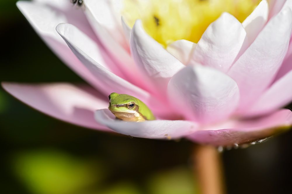 Photograph by Kim Wright