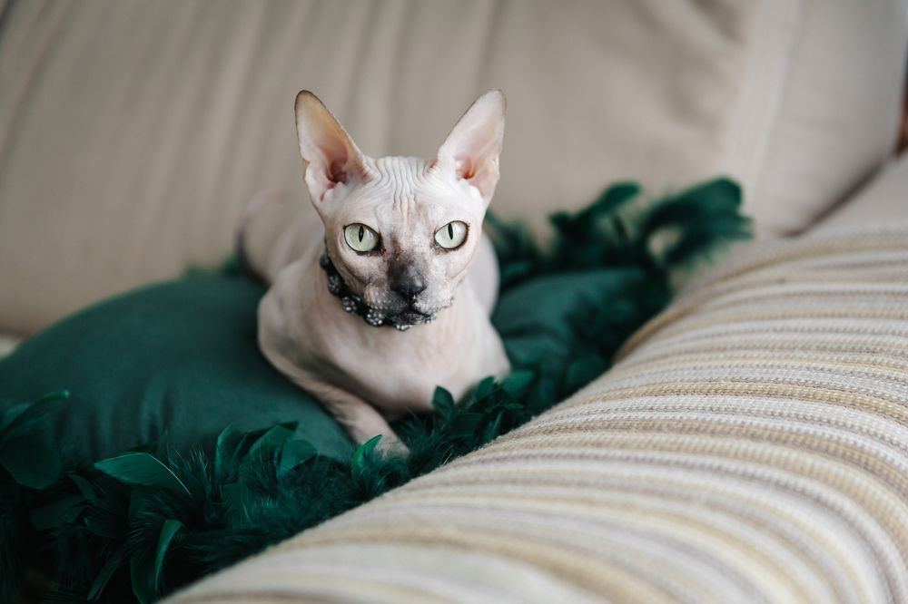 Photograph by Ирина Бородовская