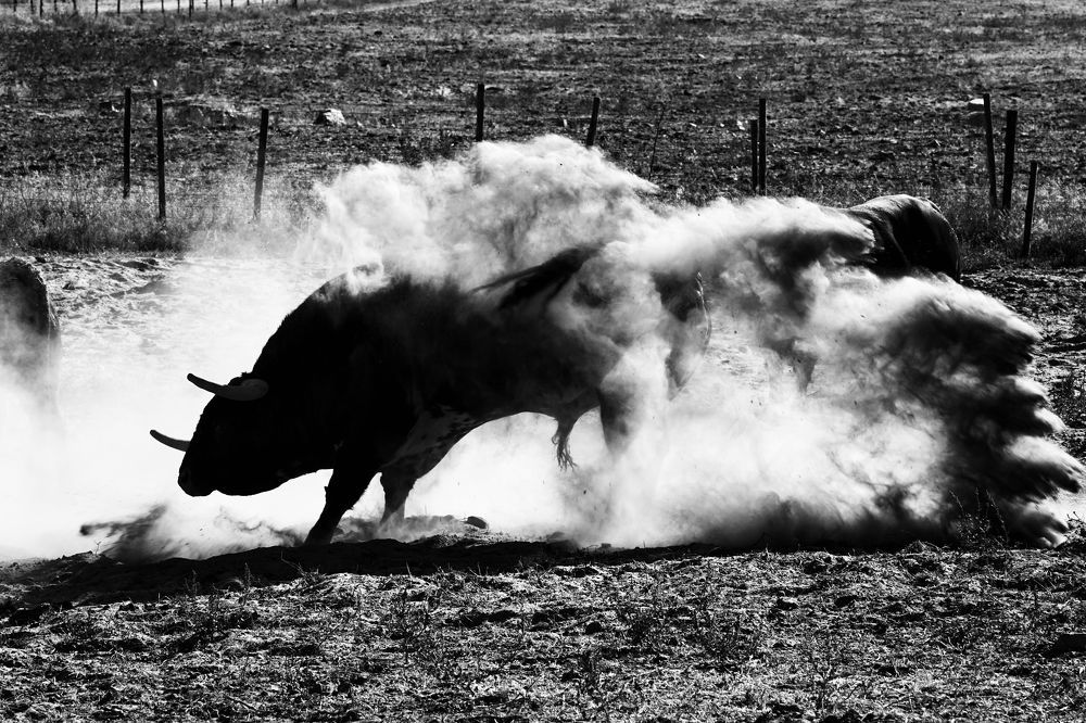 Photograph by ivan origgi