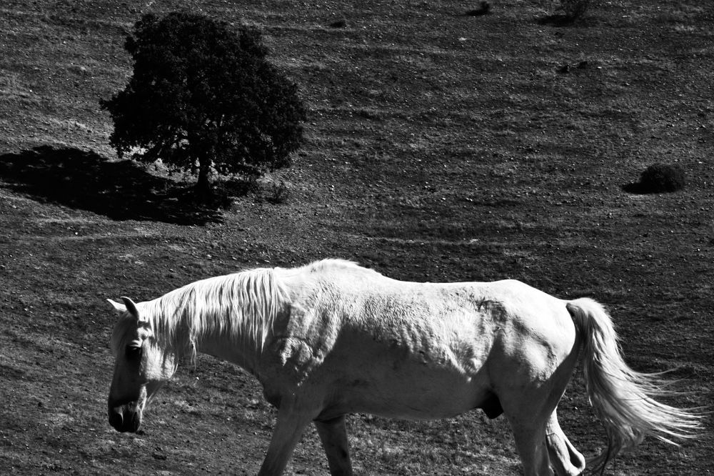 Photograph by ivan origgi