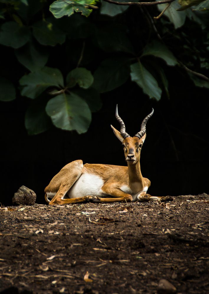 Photograph by Saumy Nagayach