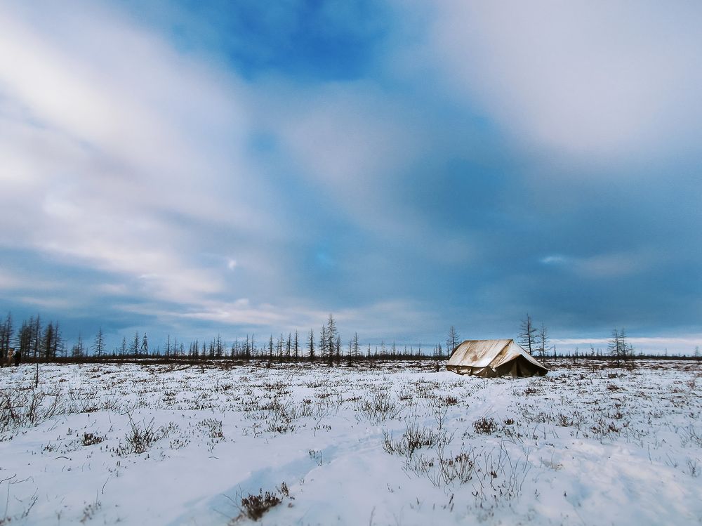 Photograph by Антонина Белозерова