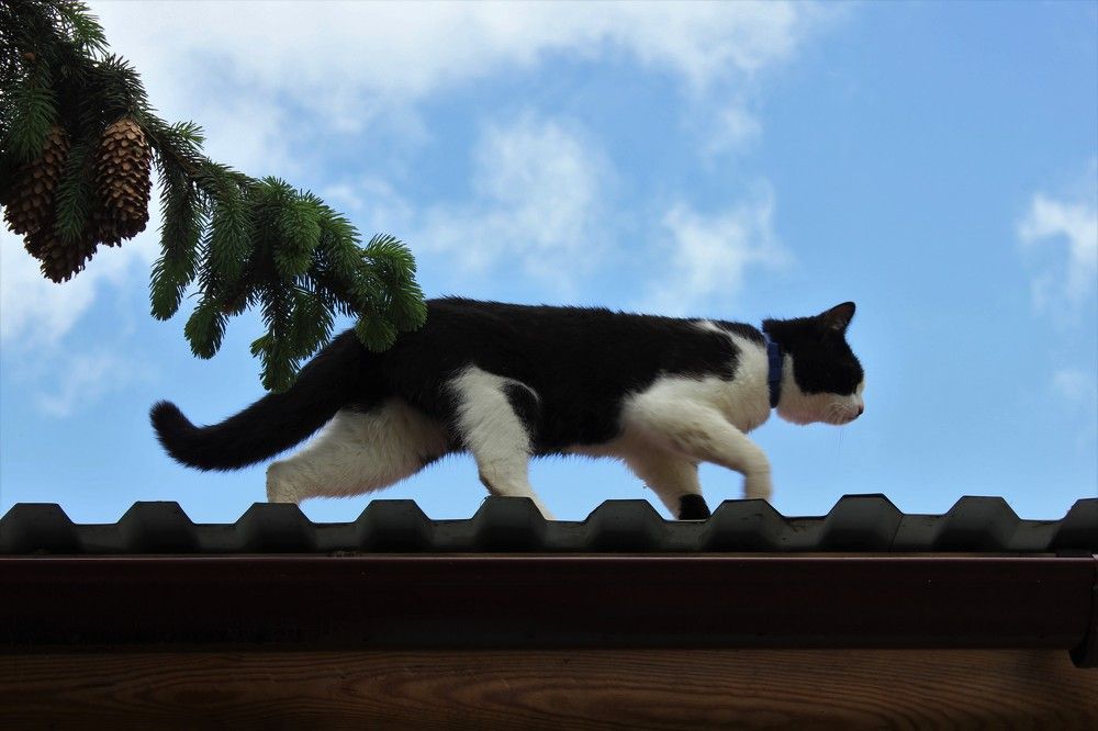 Photograph by Анастасия Козлова