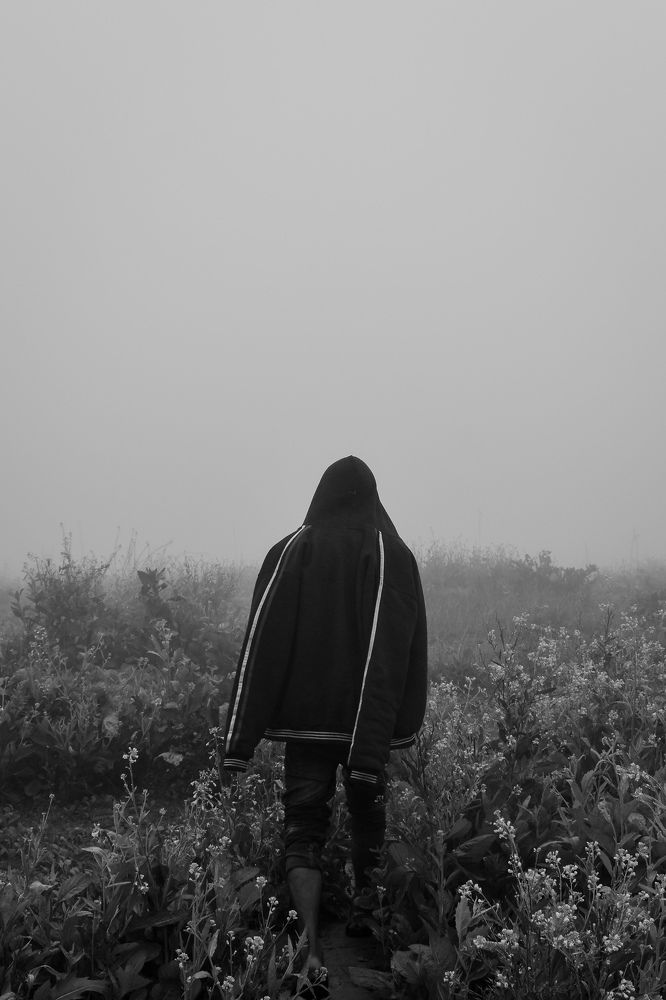 One Foggy Winter Morning Tales