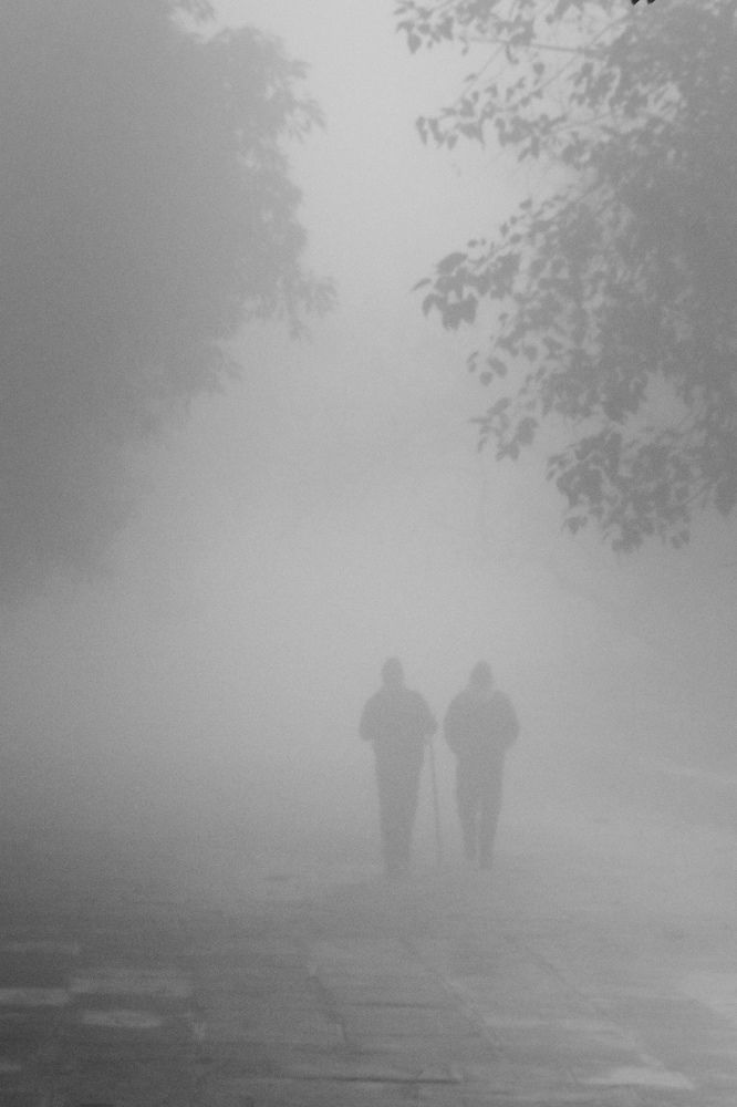 Walking through the fog