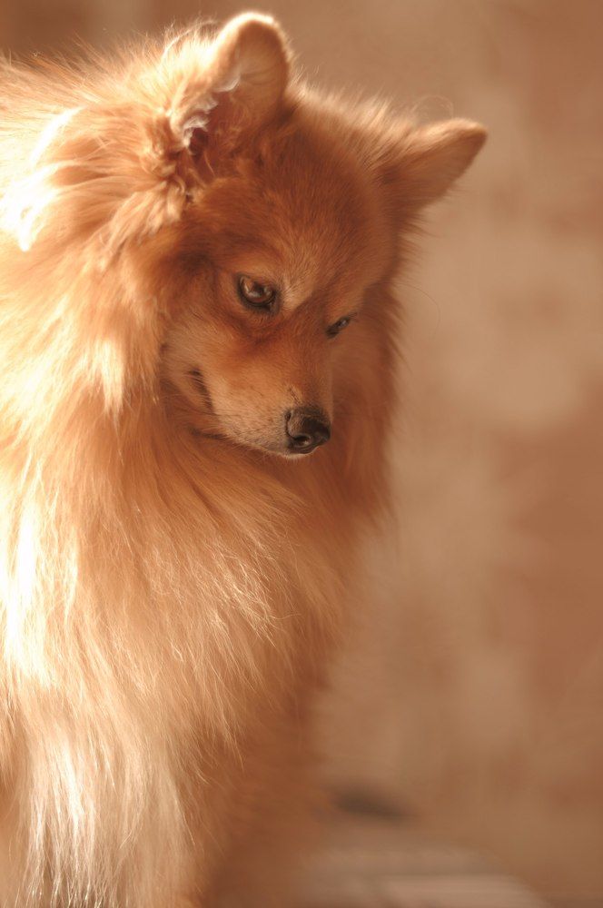 Photograph by Сергей Базовой