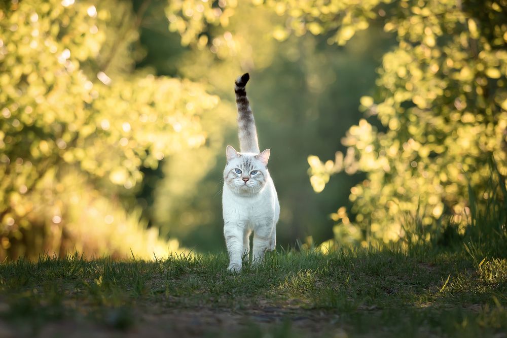 Photograph by Светлана Федоренко