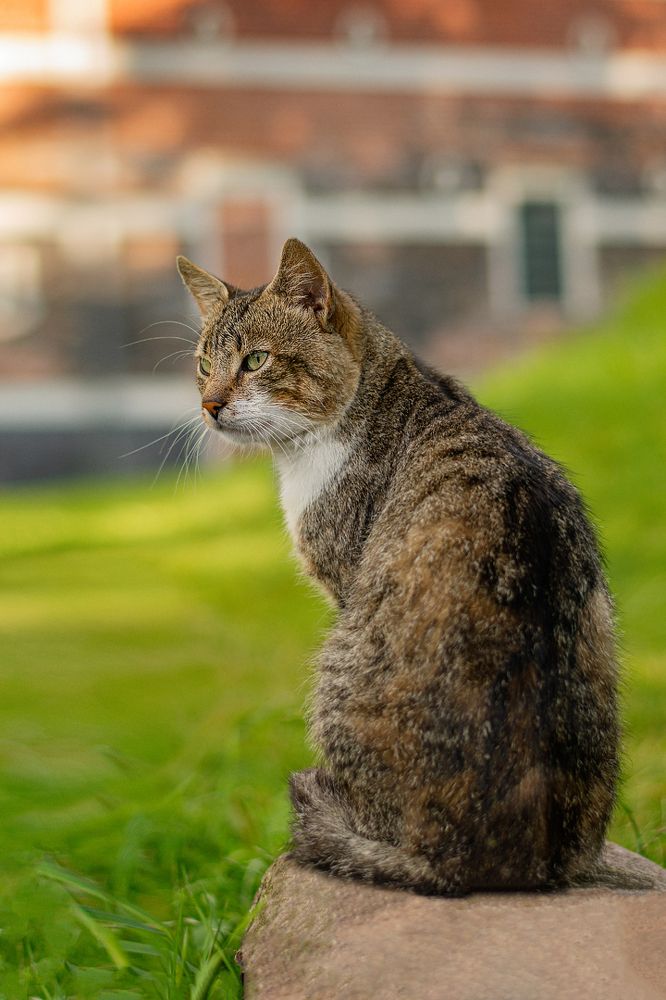 Photograph by Kosmachiova Olga