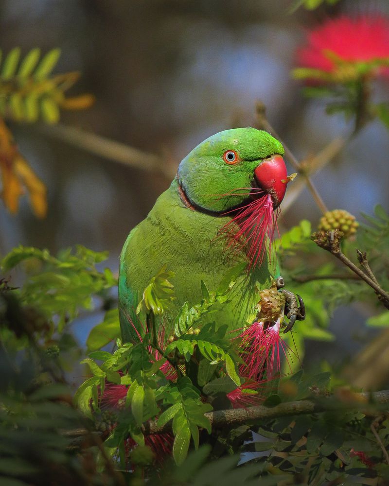 Don't look at.. it's my breakfast