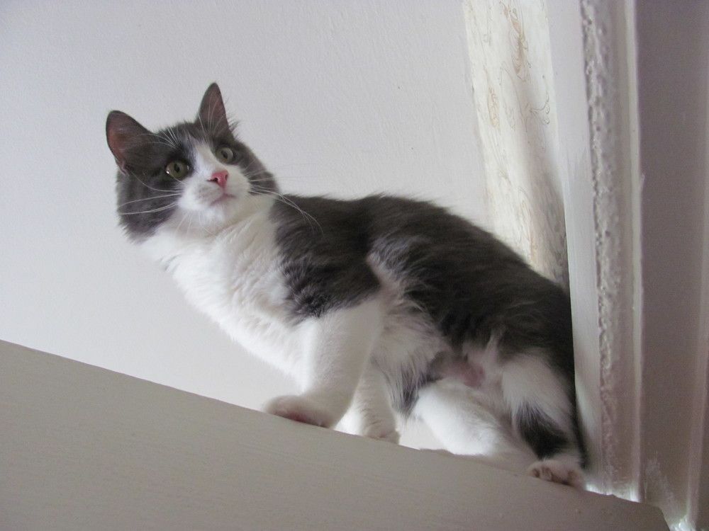 Photograph by Юлия