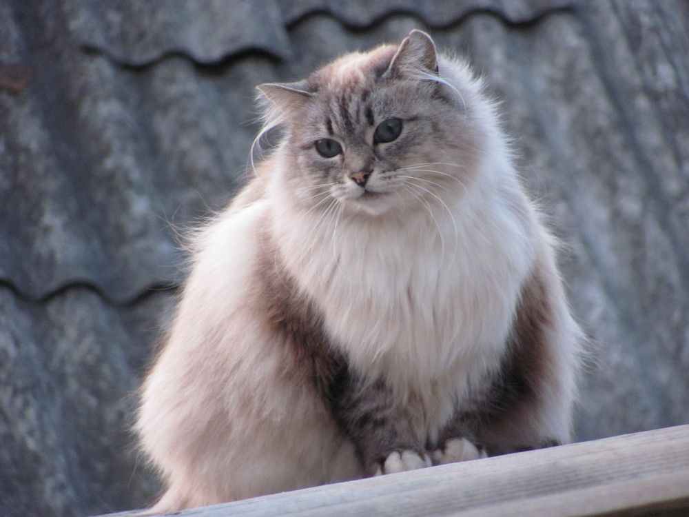 Photograph by Юлия