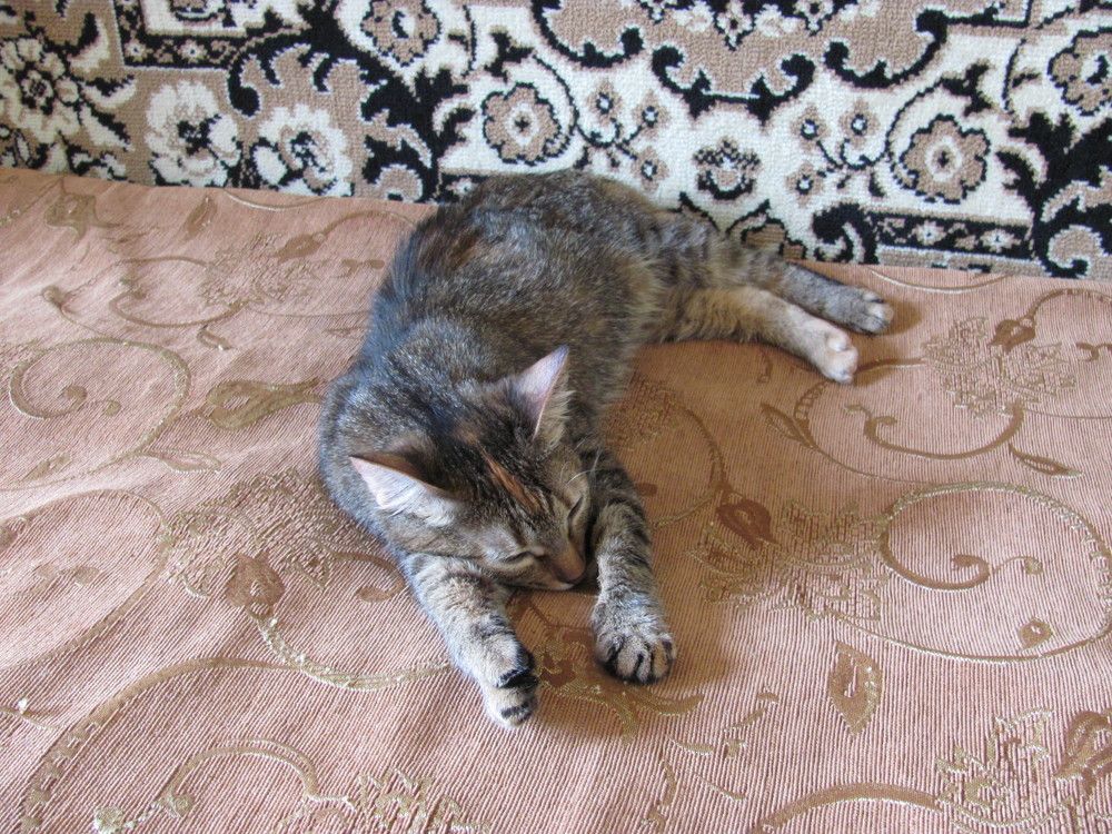 Photograph by Юлия