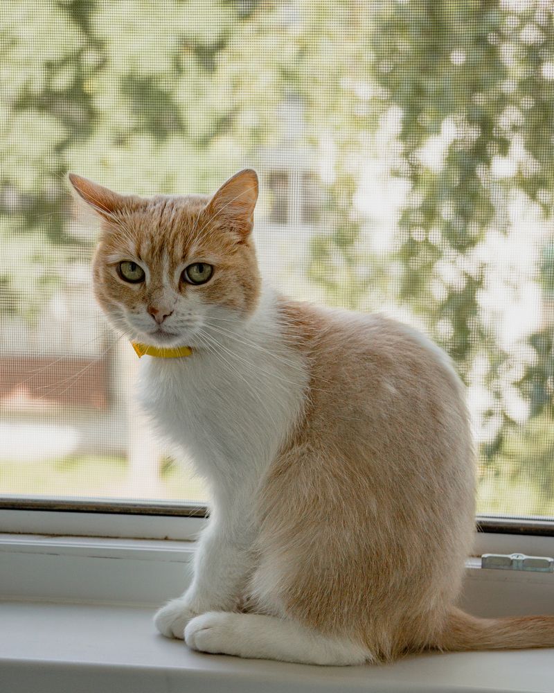 Photograph by Дмитрий Степанов