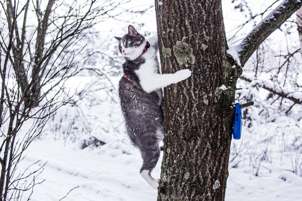 Photograph by Дмитрий Степанов