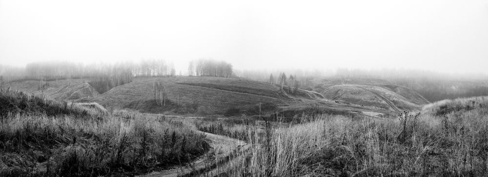 Photograph by Богдан Тарасов