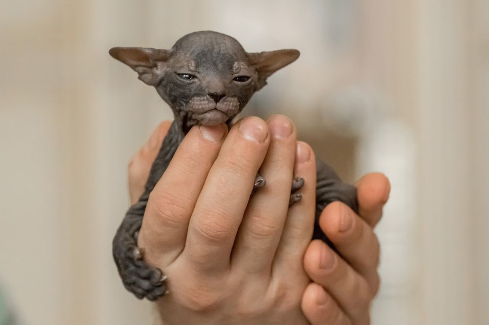 Photograph by Алина Рассохина