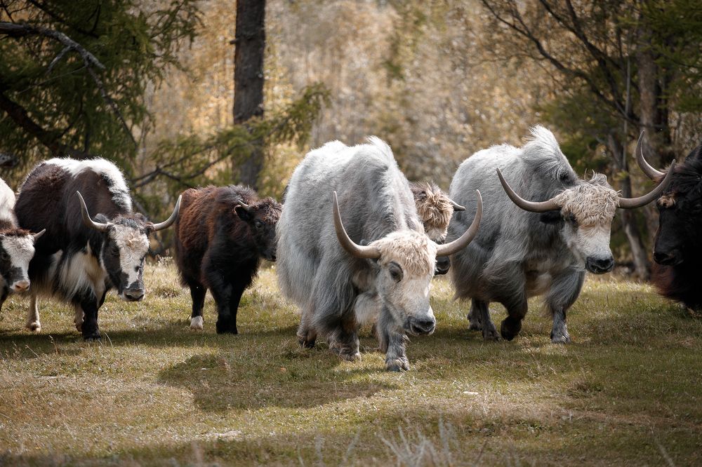 Фотография автора Александр Нерозя
