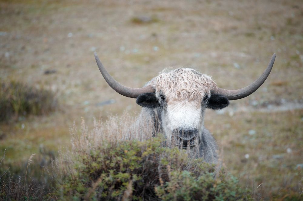 Photograph by Александр Нерозя