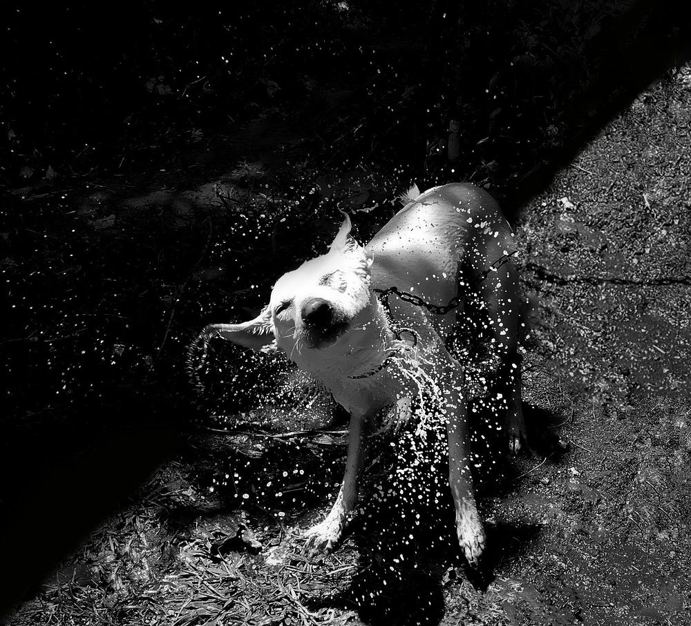 Photograph by Archana Anjana