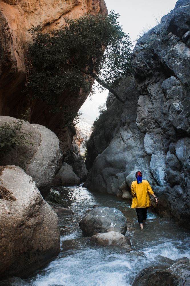 Photograph by mehrshad hassani